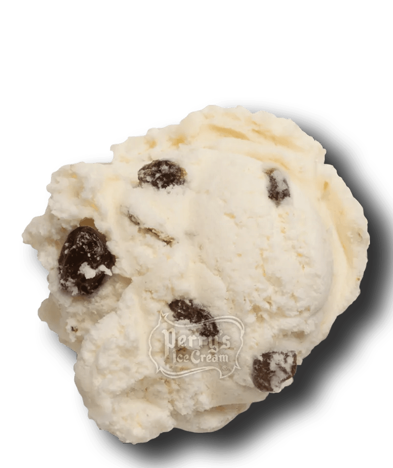 rum raisin ice cream scoop